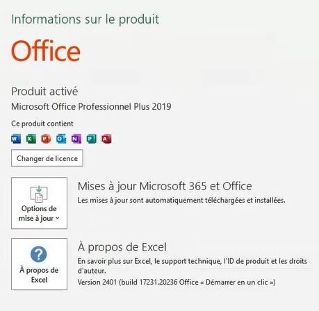 Excel version Office 2019