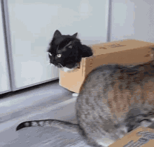 HeatherPoulsen_0-1711033967782.gif