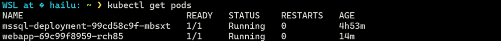 pods.png