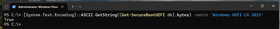 Screenshot of a PowerShell console with a command string.