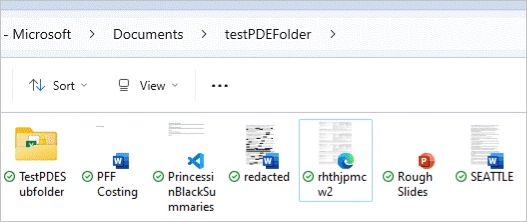 View of folder before PDE protection is applied