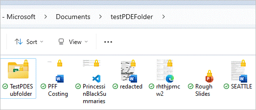 View of folder after PDE protection is applied