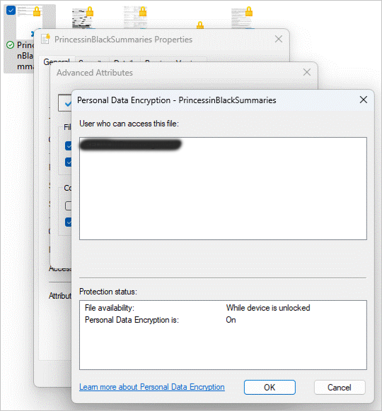 View of the properties of a protected file showing PDE protection and protection level