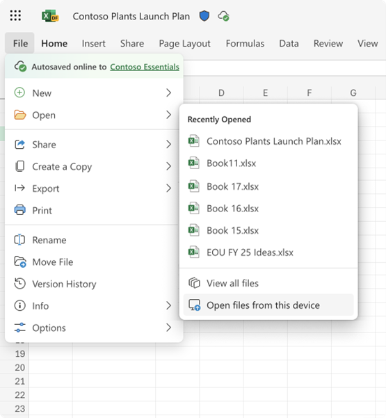 Open local files from the file menu