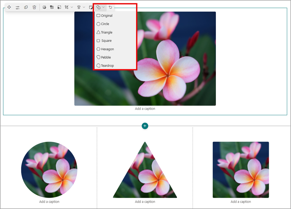 Selecting the desired shape for your photo in SharePoint while editing your page.