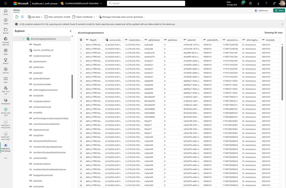 DICOM® metadata extracted in the Bronze Lakehouse