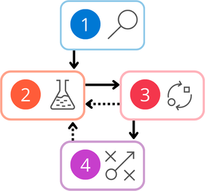 A flow chart that represents the workflow, explained below