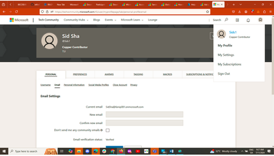Sids1_4-1721300263796.png