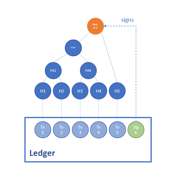 How write transactions are recorded in the ledger using an internal Merkle Tree data structure in CCF.