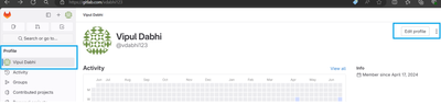 VipulDabhi_5-1722613432153.png