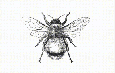 PowerPoint-designed bee graphic created by Sandra Johnson