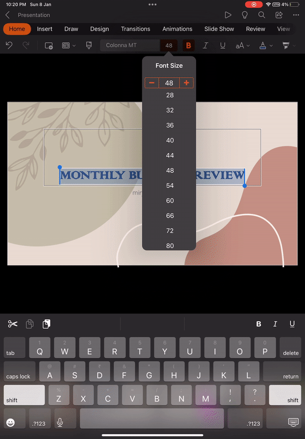 Format Painter on iPad