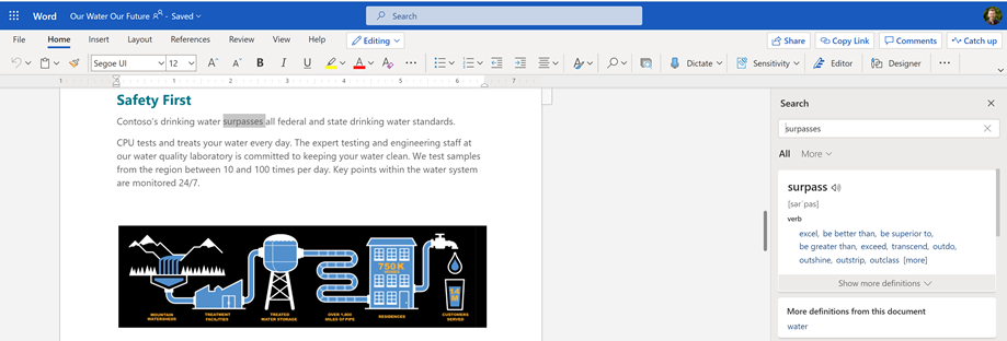 Synonym search pane