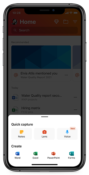 Quick Capture in voice capture interface