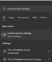 Camera privacy settings option on Windows