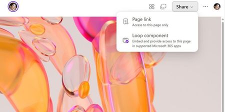 Page sharing option in Loop