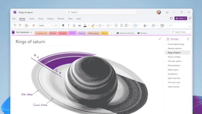 New layout options in OneNote