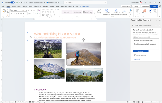 Accessibility Assistant suggests adding a description to an image in the document