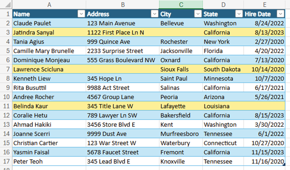 Employee table showing 3 rows highlighted yellow that contain empty cells.