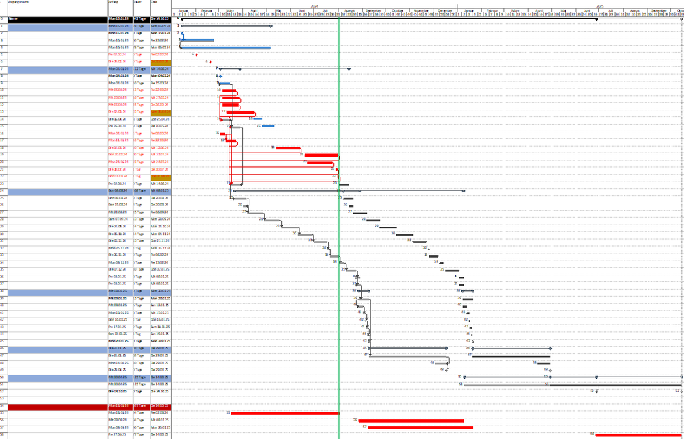MS Project Printview.png