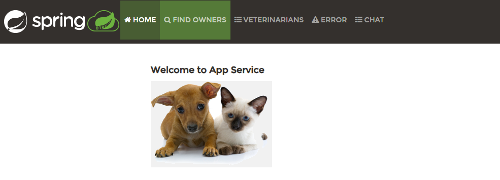 Spring demo app home.png