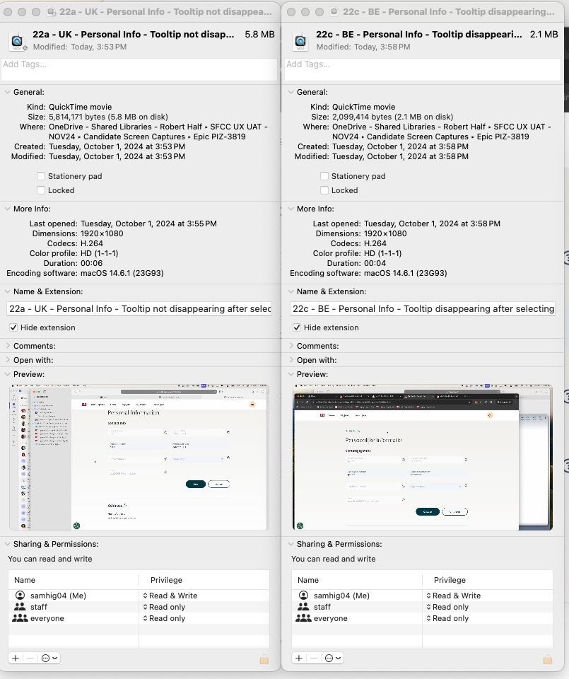 Manage access not appearing - file info.jpg