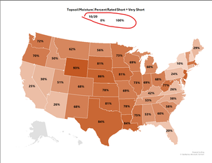 Screenshot 2024-10-25 095833v2.png