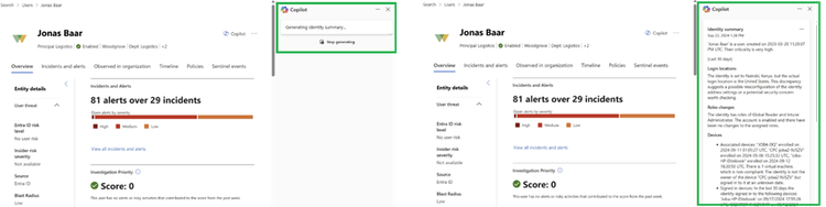 Copilot for Security Identity Summary