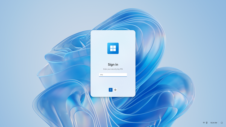 Sign-in screen with USB security key option (the Windows blue bloom is in the background)