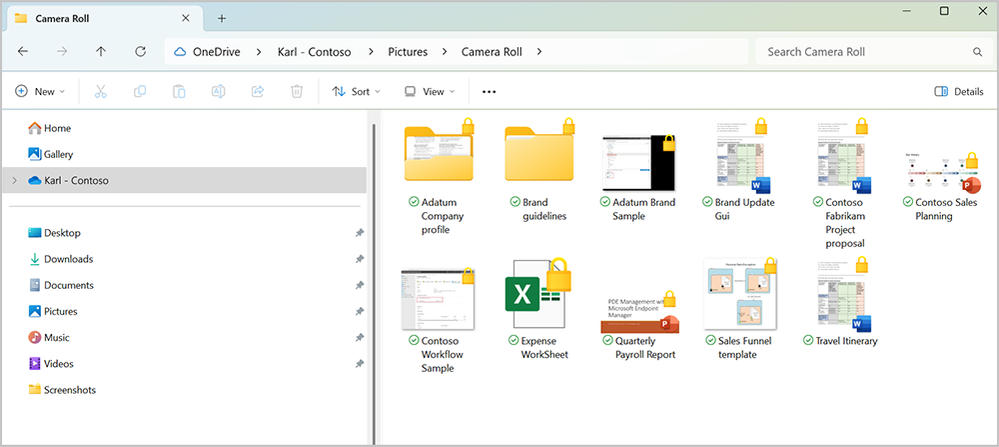 Screenshot showing Pictures folder Camera roll with yellow padlocks representing locked files and folders