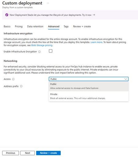 Screenshot of the Advanced step in the FinOps hub deployment form showing the networking access dropdown with Public and Private options.