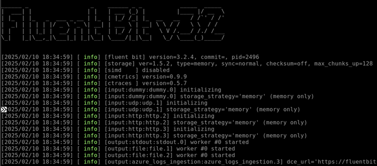 Integrating Fluent Bit with Microsoft Sentinel - Argon Systems