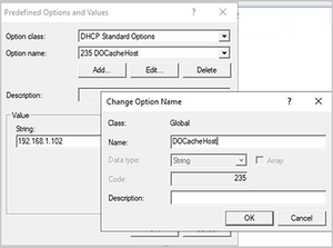 Screenshot showing DHCP custom option configuration example on Windows Server