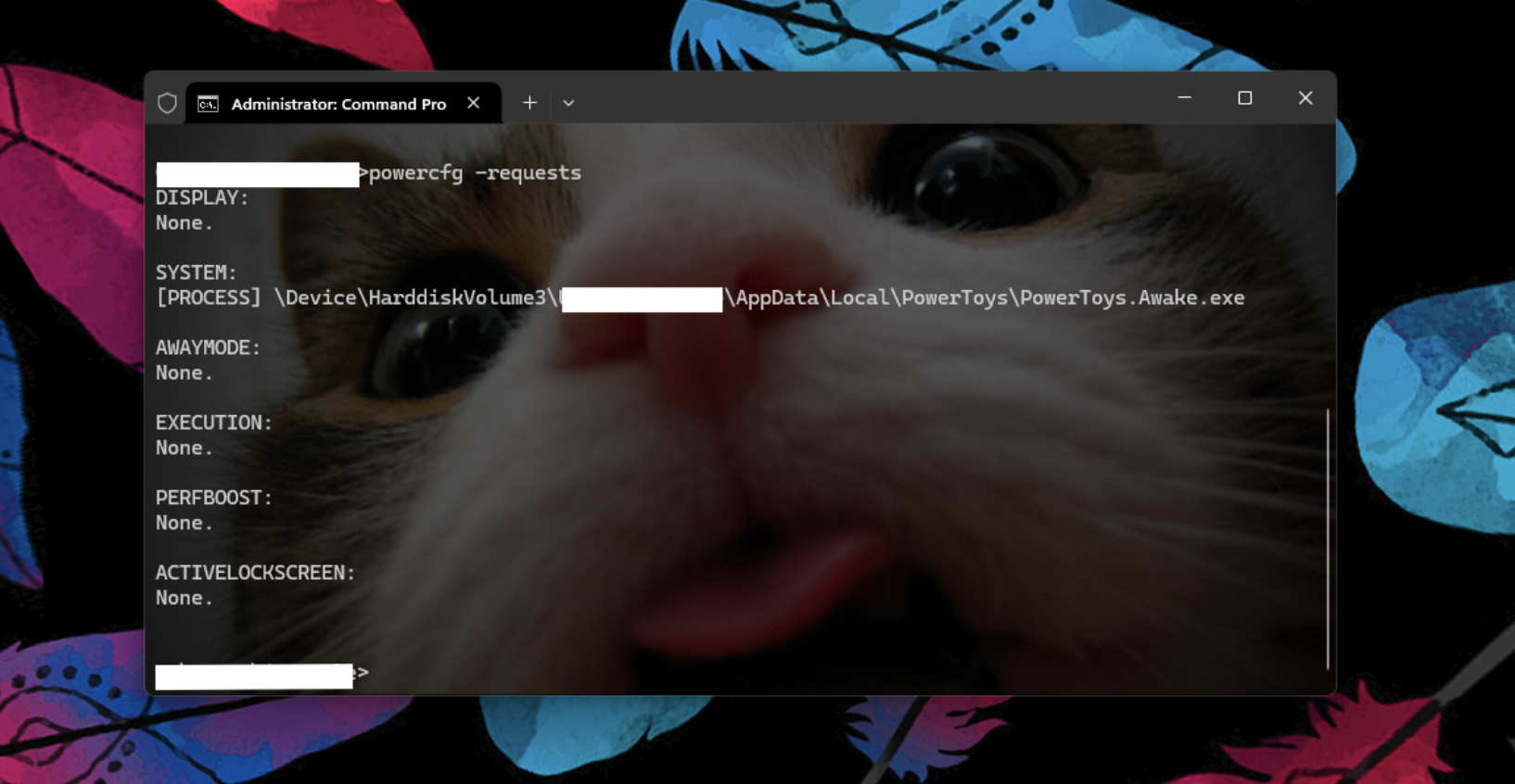 How to see if there are any active power requests | Microsoft Community Hub