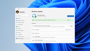 Screenshot of Windows Update showing a message that the device received a hotpatch update--background is blue Windows bloom