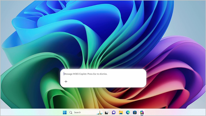 Screenshot of the prompt box of Microsoft 365 Copilot Chat shown on a background with the Windows bloom in varied colors.