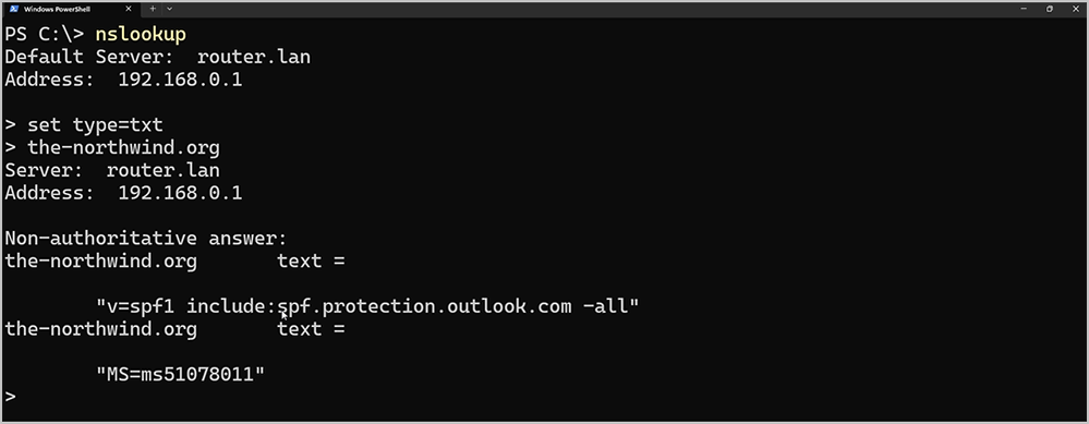 Screenshot of Windows PowerShell lookup
