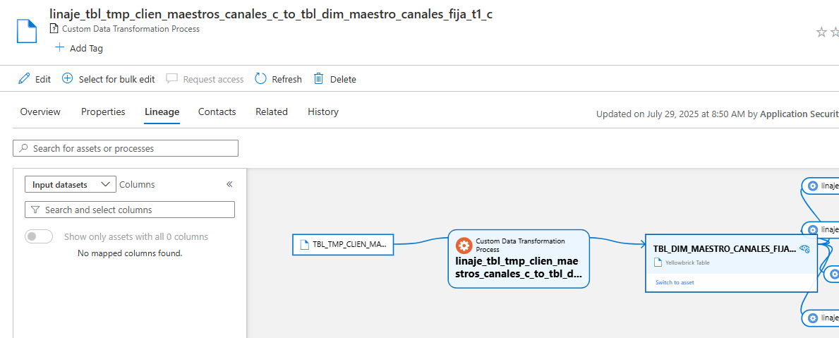 Column-Level Lineage Visualization Issue for Custom Entities and ...
