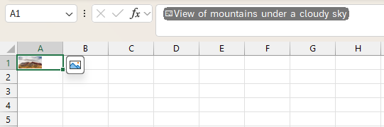 A screenshot of an image in a cell in Microsoft Excel.