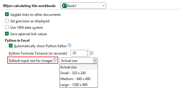A screenshot of the Default input size for images setting in Microsoft Excel.