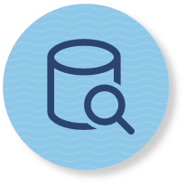 Database search icon
