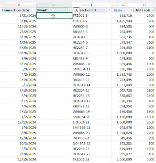 A moving image of formula completion in Microsoft Excel to calculate months.