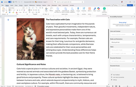 A screenshot of a document in Microsoft Word with Accessibility Assistant open.
