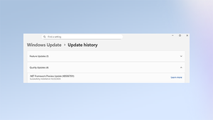 Screenshot of the Update history page indicating the .NET Framework Preview Update has been installed.