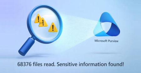 Microsoft 관할 영역 내 데이터 보안 조사