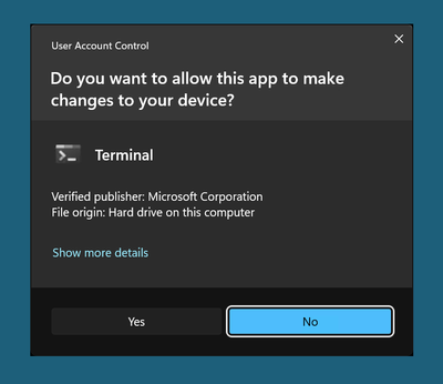 Screenshot of a User Account Control dialog box asking permission for the Terminal app to make changes to the device.