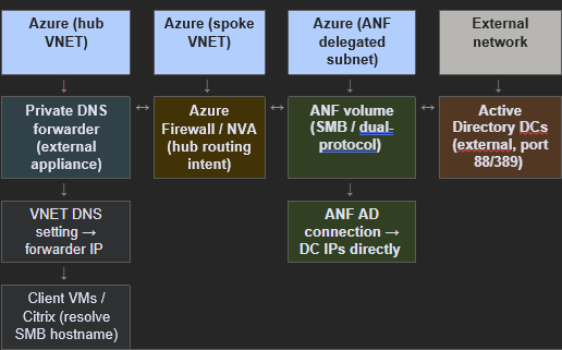 Caminhos de Resolução DNS para ANF