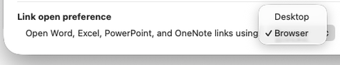 Screenshot of the Advanced Options available in OneNote for Mac