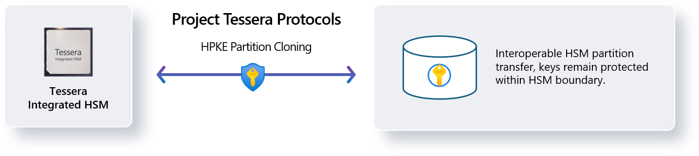 Advancing hardware security through open-source collaboration ...