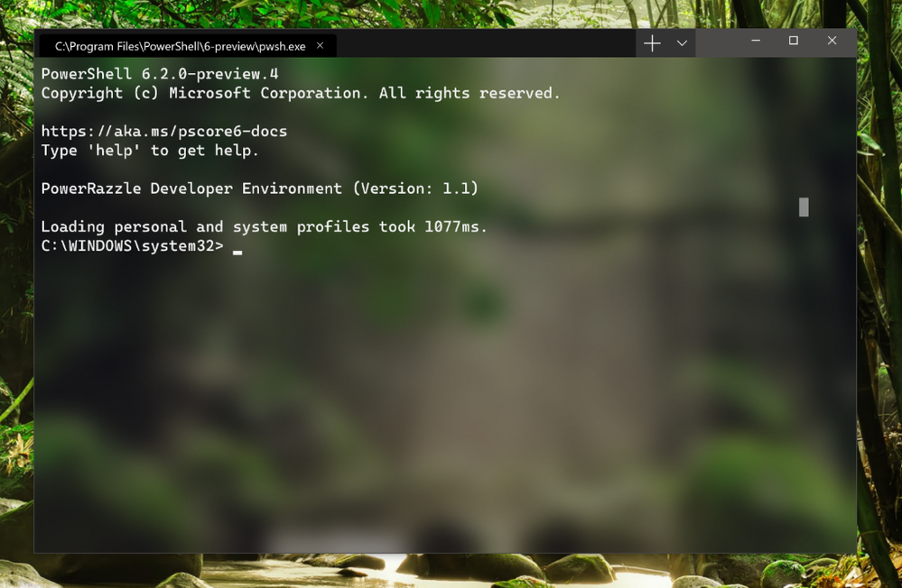 terminal-screenshot.png